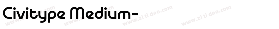 Civitype Medium字体转换